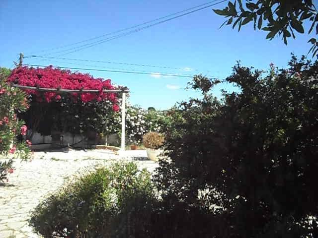 Monte dos Sabores Lagos Exterior foto